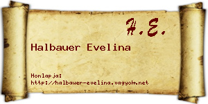 Halbauer Evelina névjegykártya